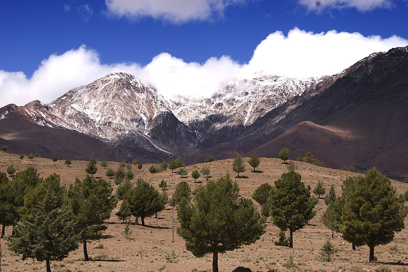 Atlas Mountains Morocco Creative Commons