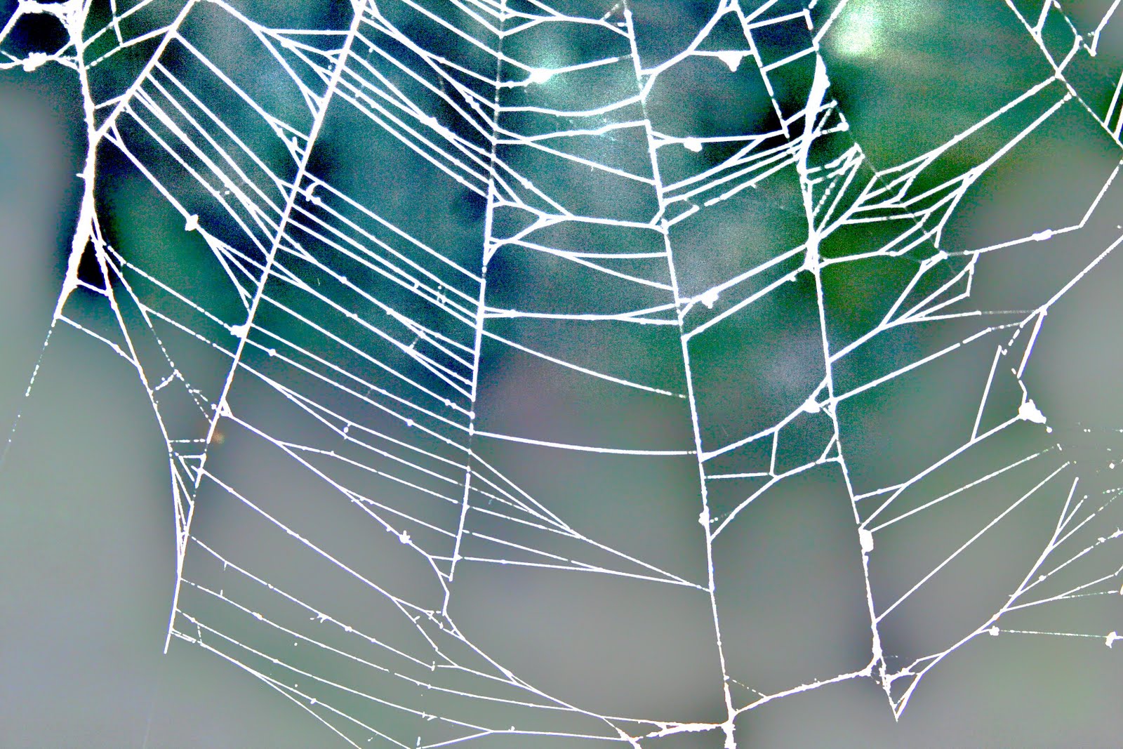 Tangled Web We Weave Blatant Lies About the Book of Revelation