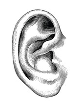 Ear to Hear