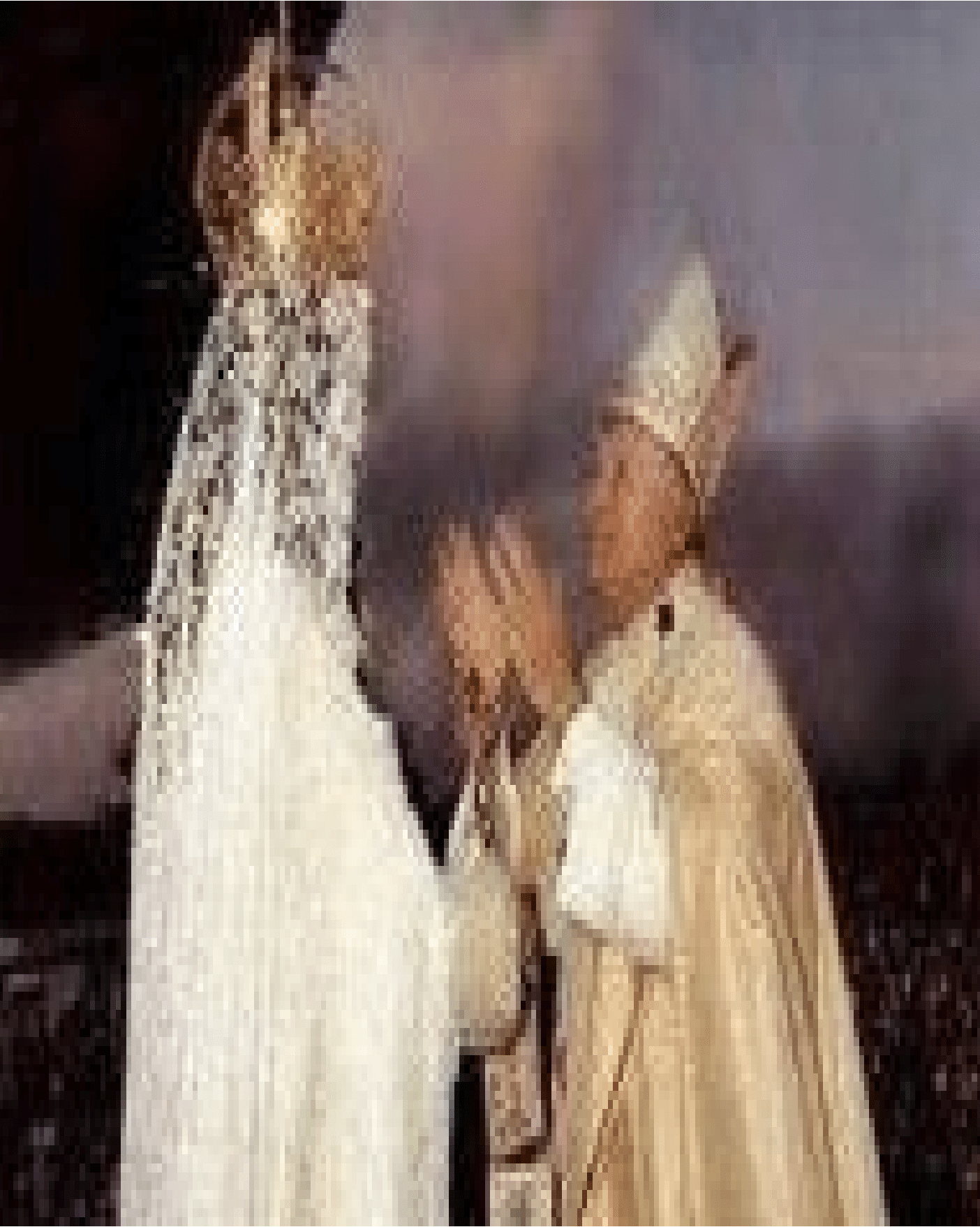 MARY IDOLATRY IN THE CHURCH