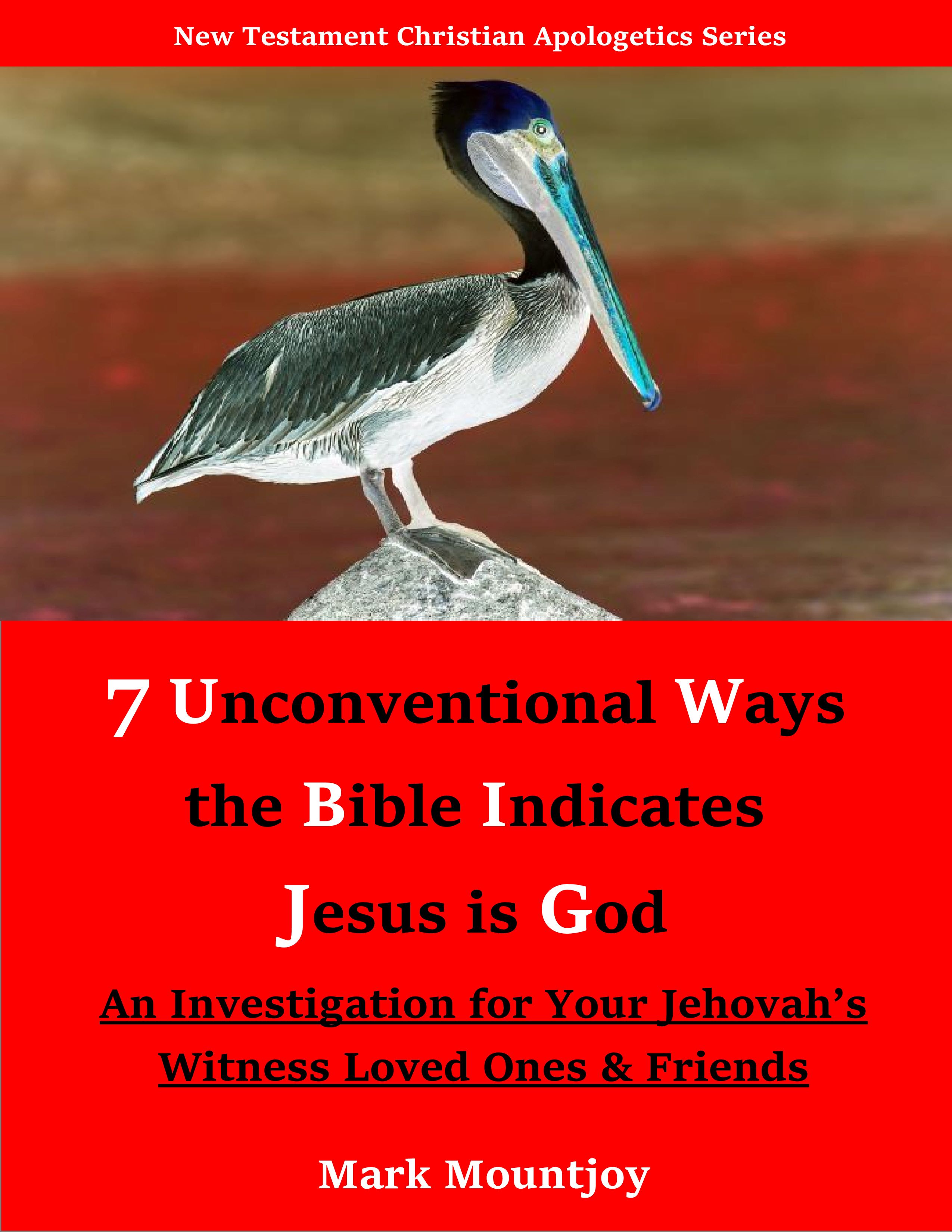 New Testament Christian Apologetics Series 1 7 Ways Jesus is God