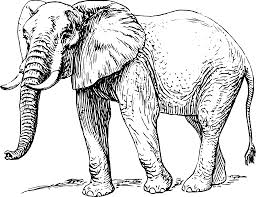 Repubican Elephant