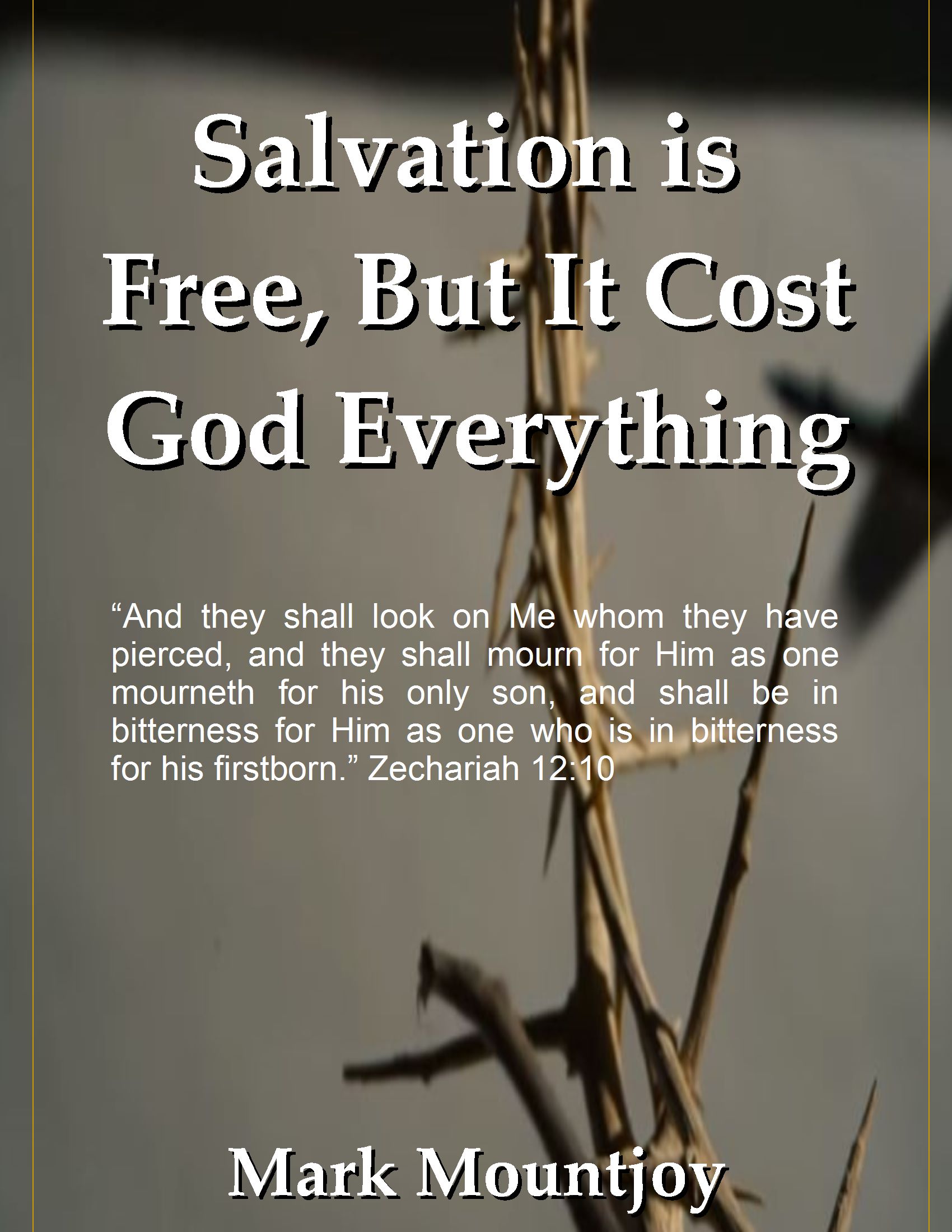 Salvation is Free But it Cost God Everything True Christian Press. Since 1987