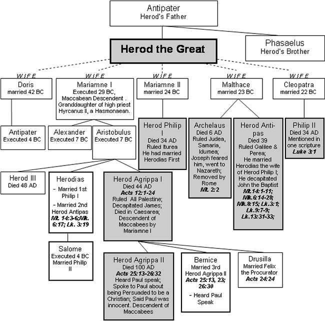 herodfamilytree